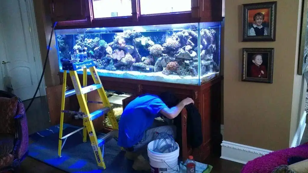 Expert Aquarium Services