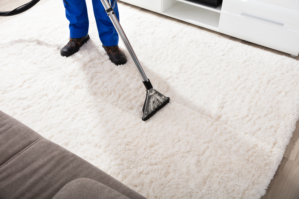 carpet cleaning london ontario
