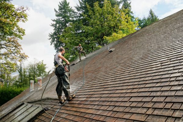 Roof Moss Removal