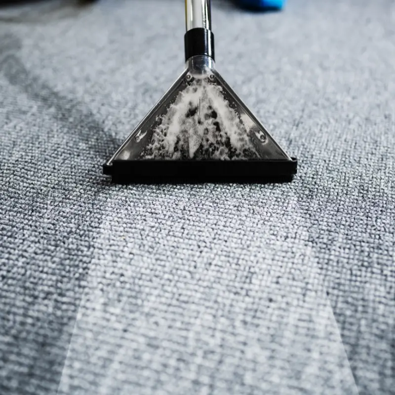 Carpet Cleaning